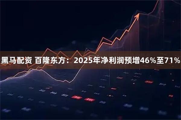 黑马配资 百隆东方：2025年净利润预增46%至71%