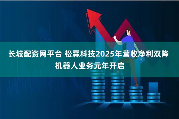 长城配资网平台 松霖科技2025年营收净利双降 机器人业务元年开启