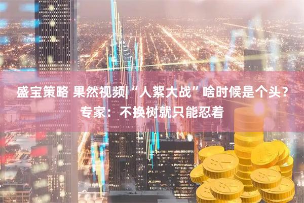 盛宝策略 果然视频|“人絮大战”啥时候是个头？专家：不换树就只能忍着