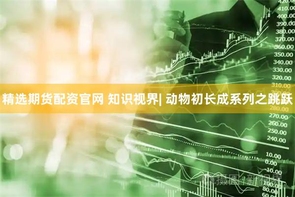 精选期货配资官网 知识视界| 动物初长成系列之跳跃